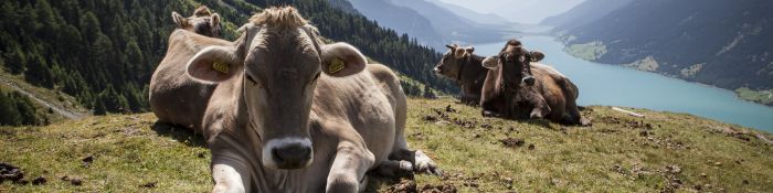 head skiurlaub winterurlaub nauders tirol